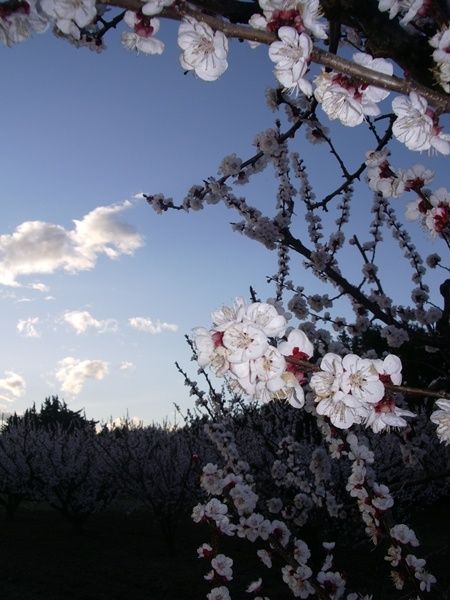 Ciel-de-Provence.JPG