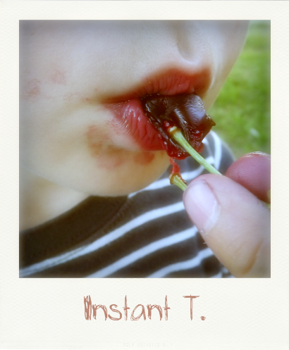 CERISES-MAT-Pola-20120513232226-.png