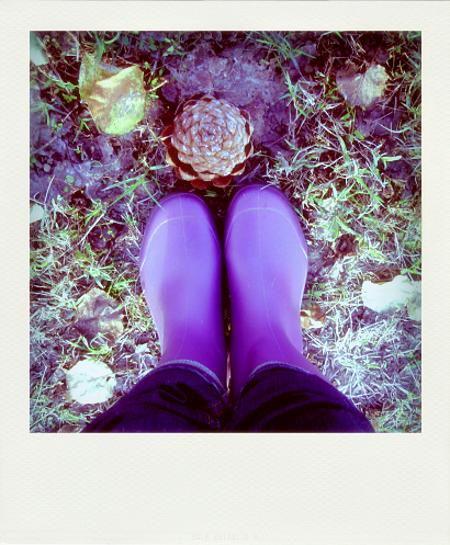 Célébrons l'Automne Magda