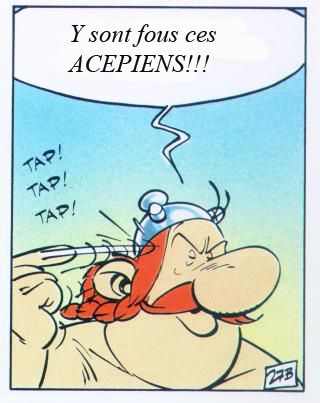 obelix y sont fous copie