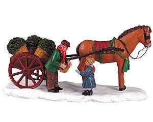 53509-Holly-For-Sale.jpg