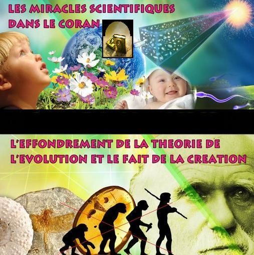 7-Livres-enfants-miracle-coran-mensonge-evolution.jpg