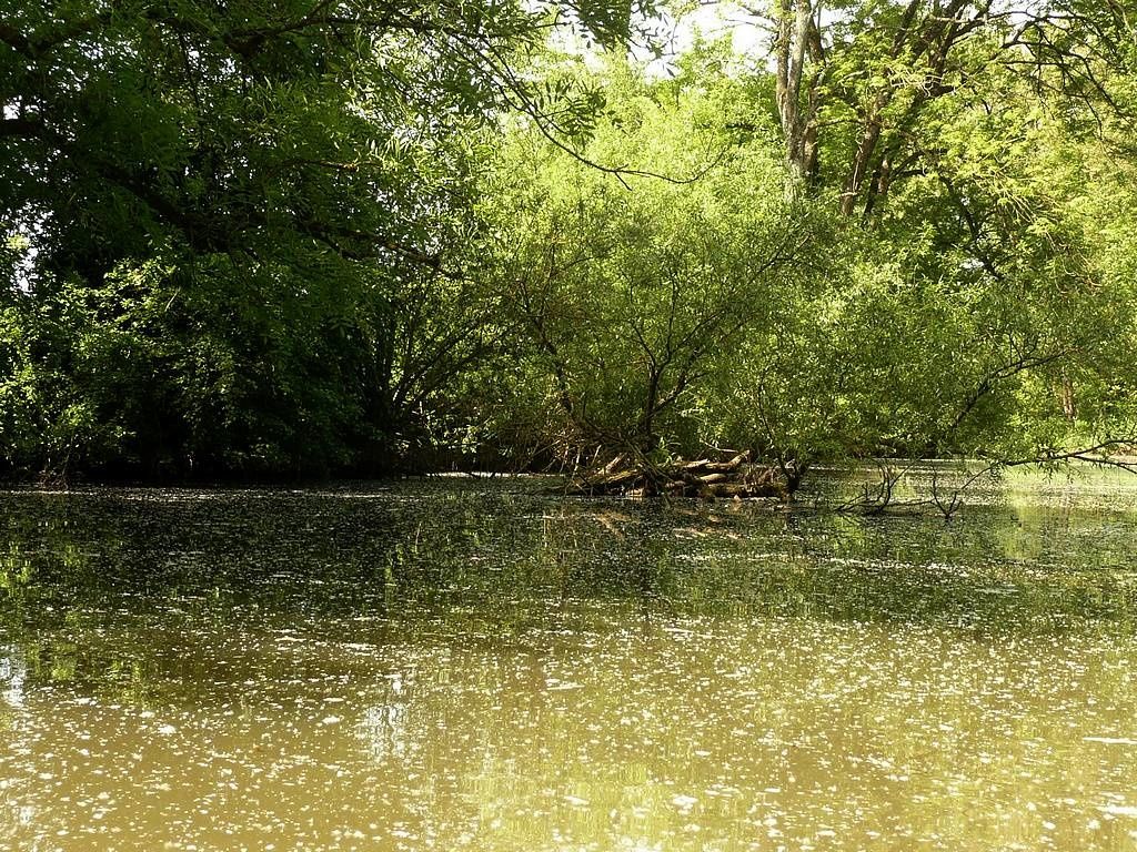 Acheter à une place katamaran pour la pêche