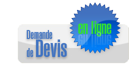 devis-en-ligne-site internet