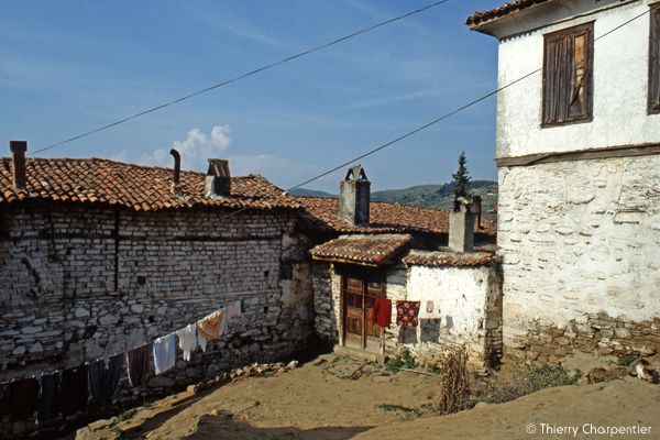 Village2.jpg