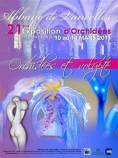 affiche vaucelles 2011