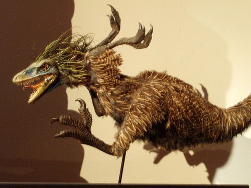 Les dinosaures portaient des plumes pour la reproduction.