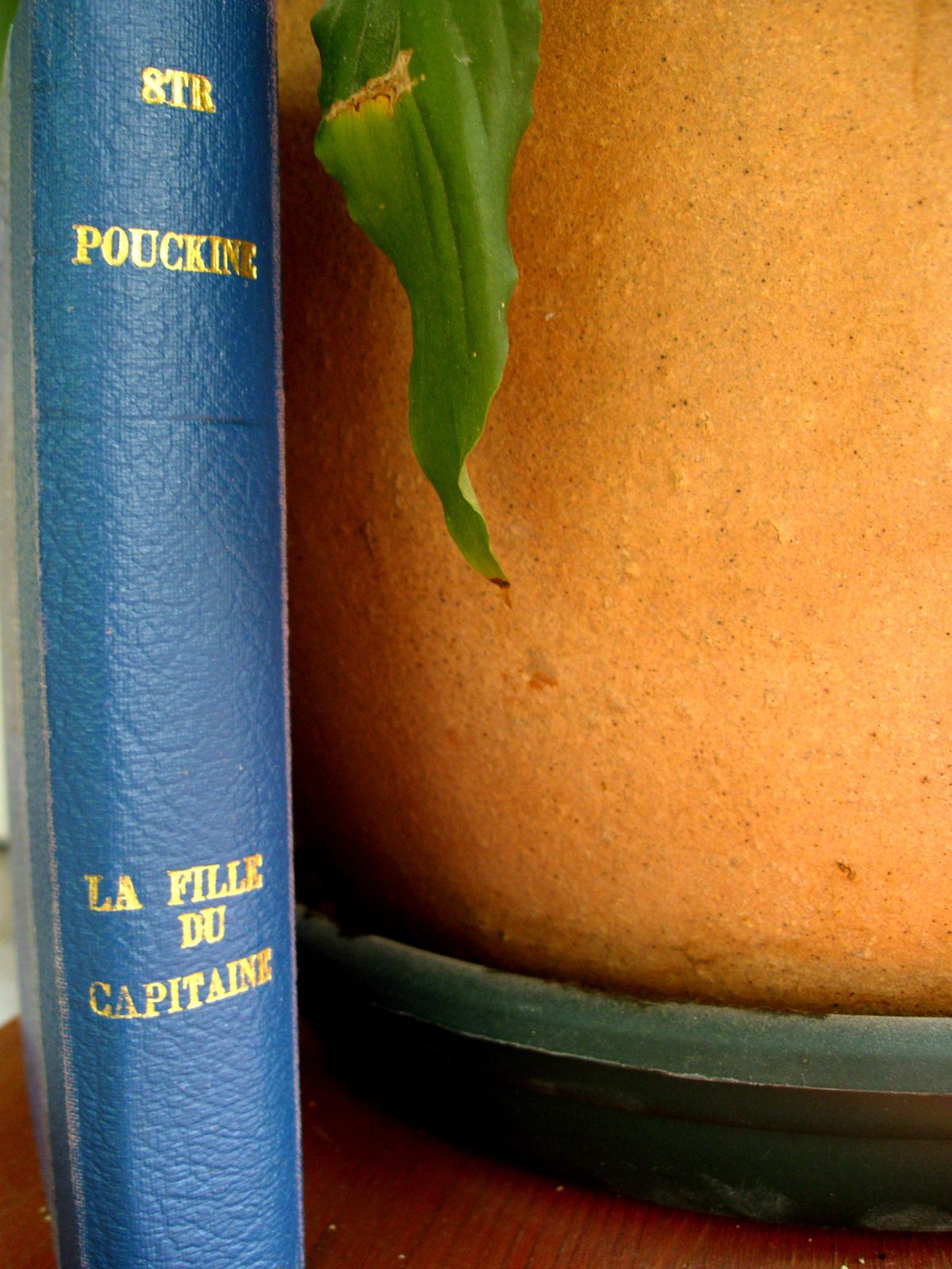 POUCHKINE - La fille du capitaine POUCHKINE - La fille du capitaine
