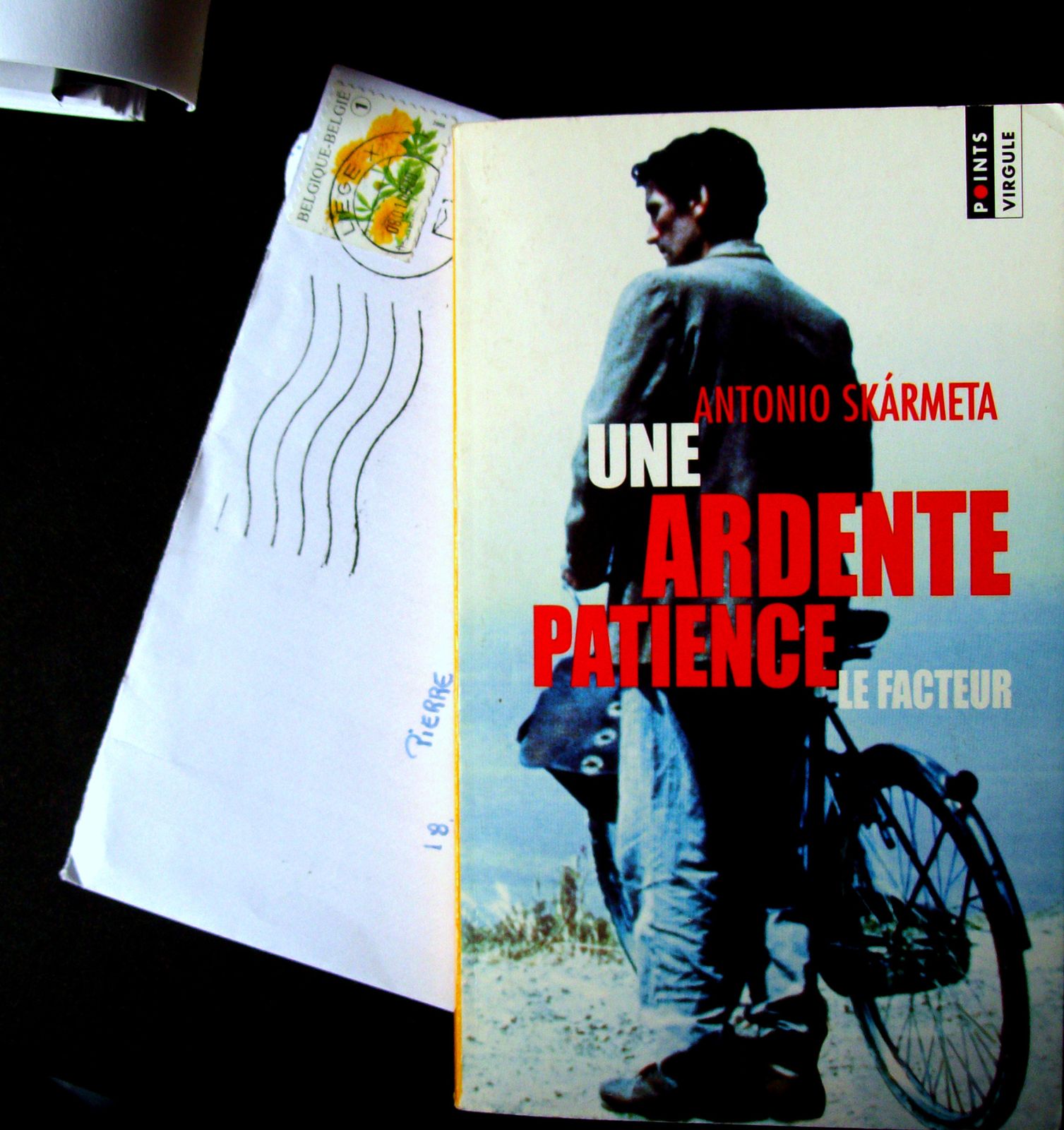 Antonio SKARMETA - Une ardente patience Antonio SKARMETA - Une ardente patience