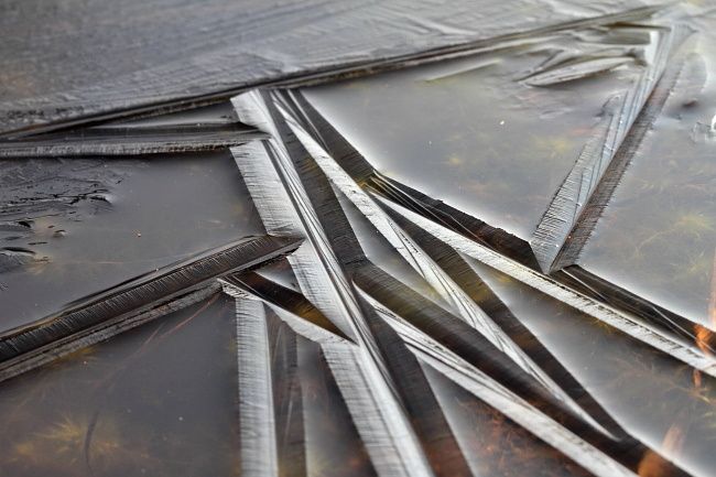 motifs sur mare gelée en forêt de Fontainebleau