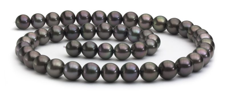perle di coltura - la storia - Perle di coltura - Gioielli di perle -  Informazioni sulle perle di coltura