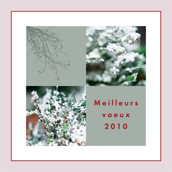 Carte-de-voeux-2010_002.jpg
