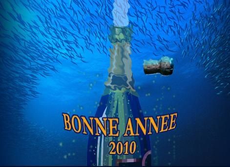 année 2010