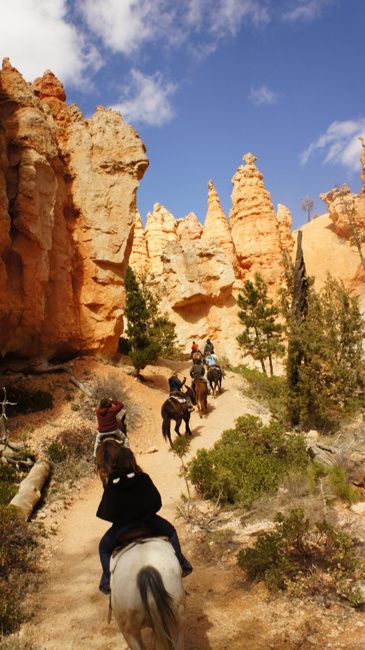 promenade à cheval sur parcours ouest parcs - Forum de voyage aux USA :  conseils, entraide et carnets de voyage
