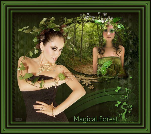 magical-forest600.jpg