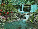 336-copia-1.gif