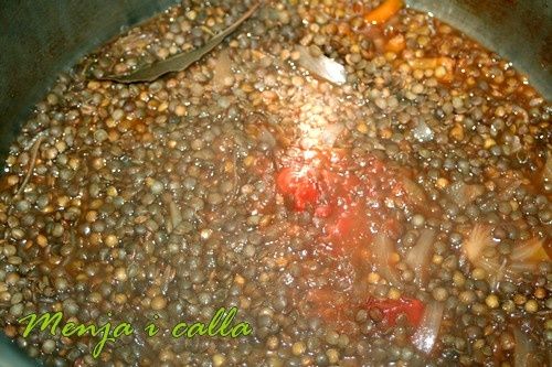 lentille-rapides1-copie-1.jpg