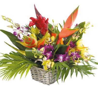 panier-exotique.jpg