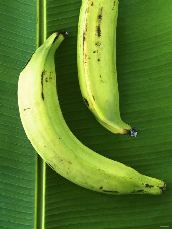 -two-plantains-on-a-banana