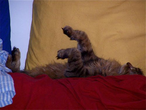 100_1510.jpg