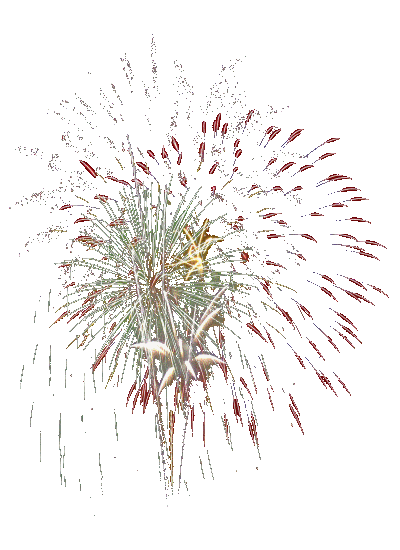 21110 FEU ARTIFICE