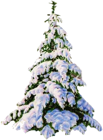 sapin noel neige 131208