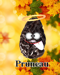 pruneau-copie-6.png