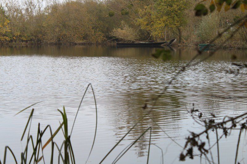 Bord de Loire avec Sylvie 005