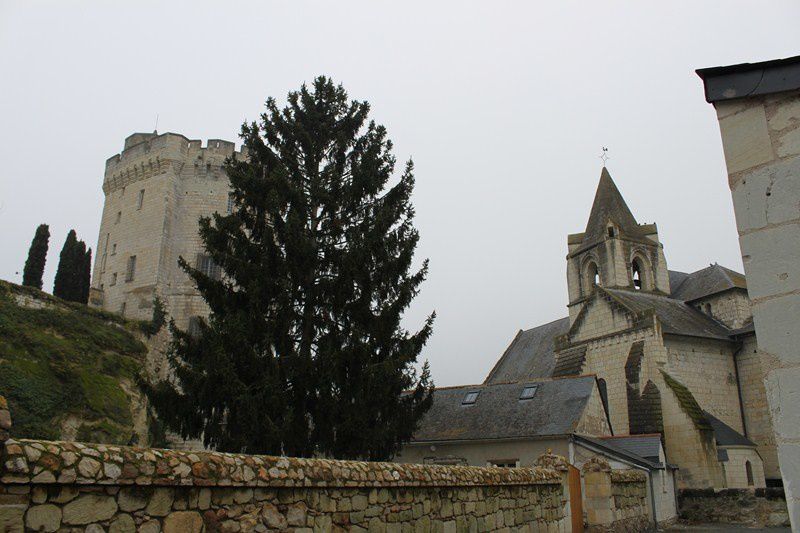 Bord de Loire avec Sylvie 119