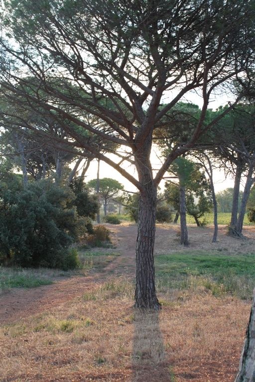 Au chateau des demoiselles (83)