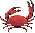 crabes-03