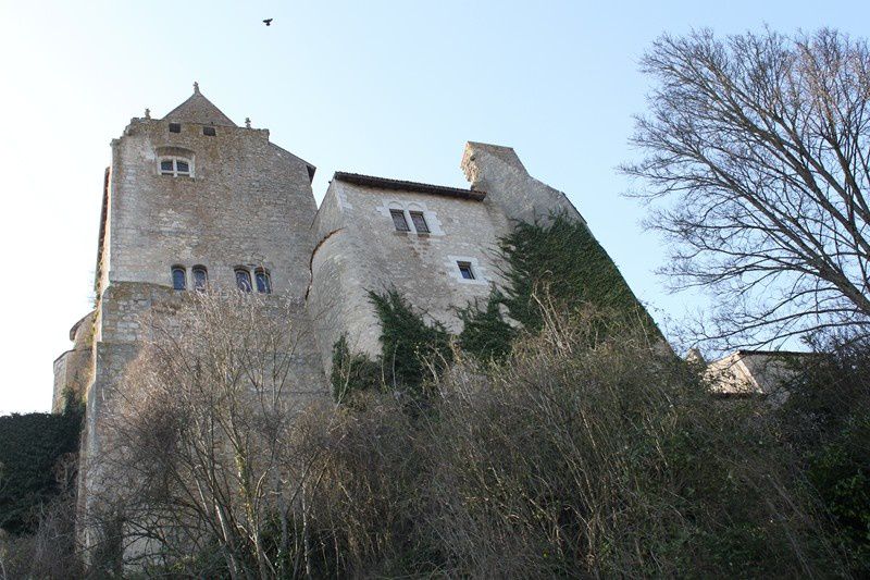 8 Chateau d'Harcourt Chauvigny IMG 9793 (30)