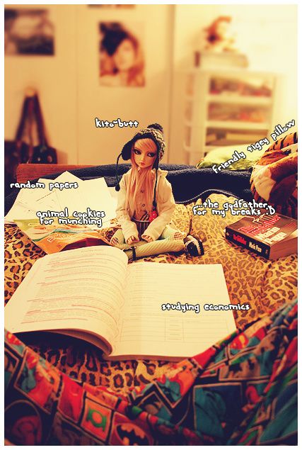 studying_economics_by_gardenofmoons.jpg