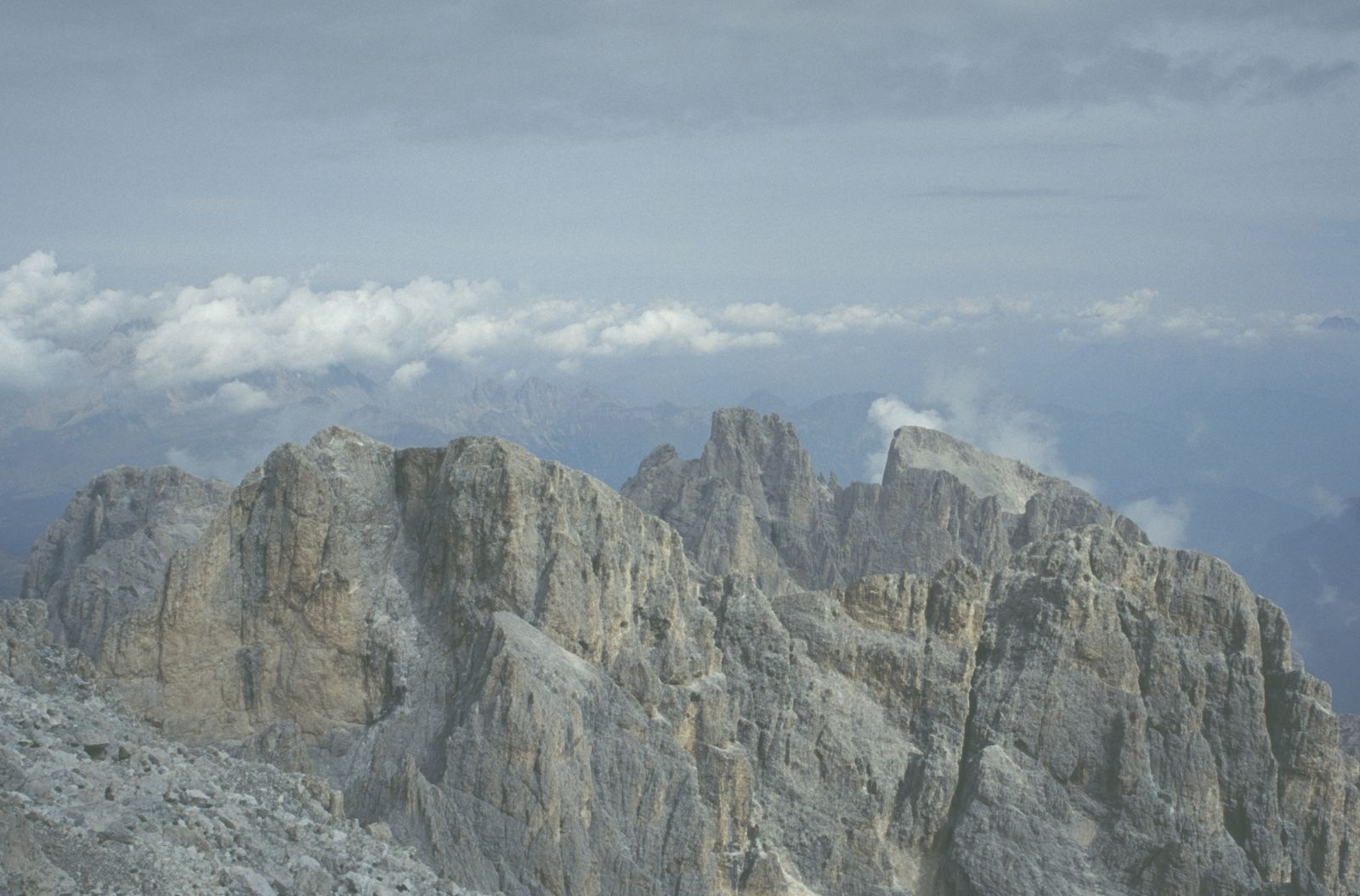 Bureloni