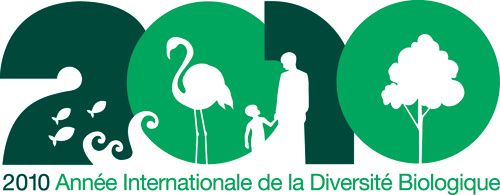 IYB2010_Logo_French_sm.jpg