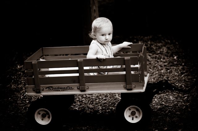 ozaukee family photography