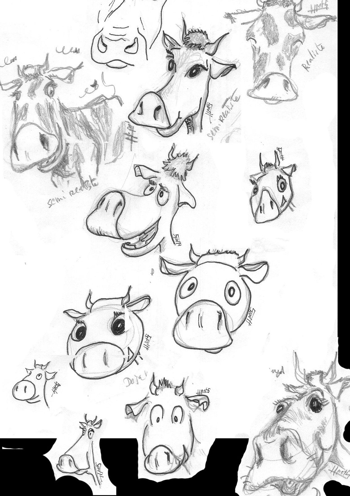 vache-copie-1.jpg