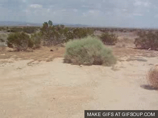 tumblr_m6hmeaikmM1rqhh9g.gif