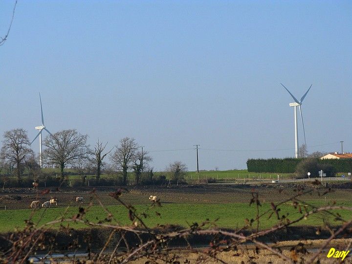 Photos en Vendee