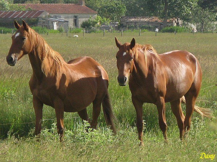Photos en Vendee
