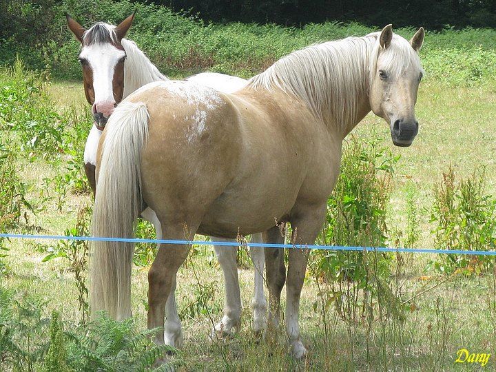 Photos en Vendee