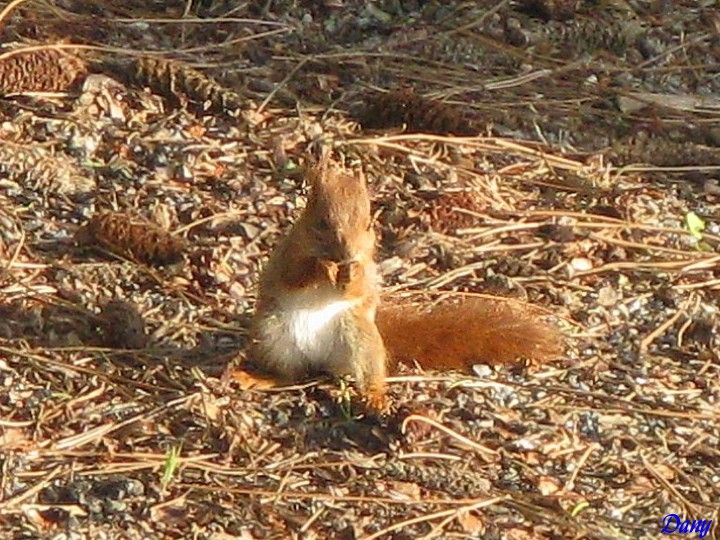 Photos en Vendee