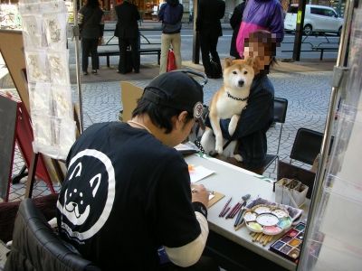rencontre shiba