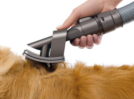 DYSON GROOM aspirateur spécial mue poils de chiens - LE BLOG DU