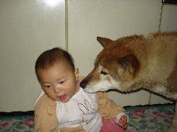 shikoku-ken-chien-avec-enfants