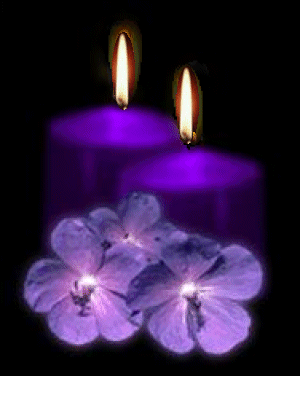 Bougies violettes