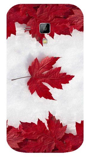 Canada-copie-1.jpg