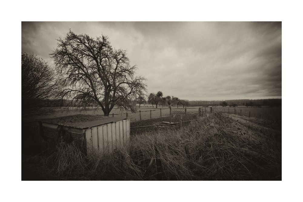 bocage 3