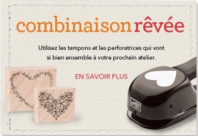 Combinaison-revee.jpg
