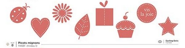 Picots-mignons.jpg